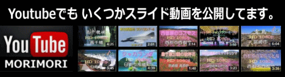 Youtube��MORIMORI