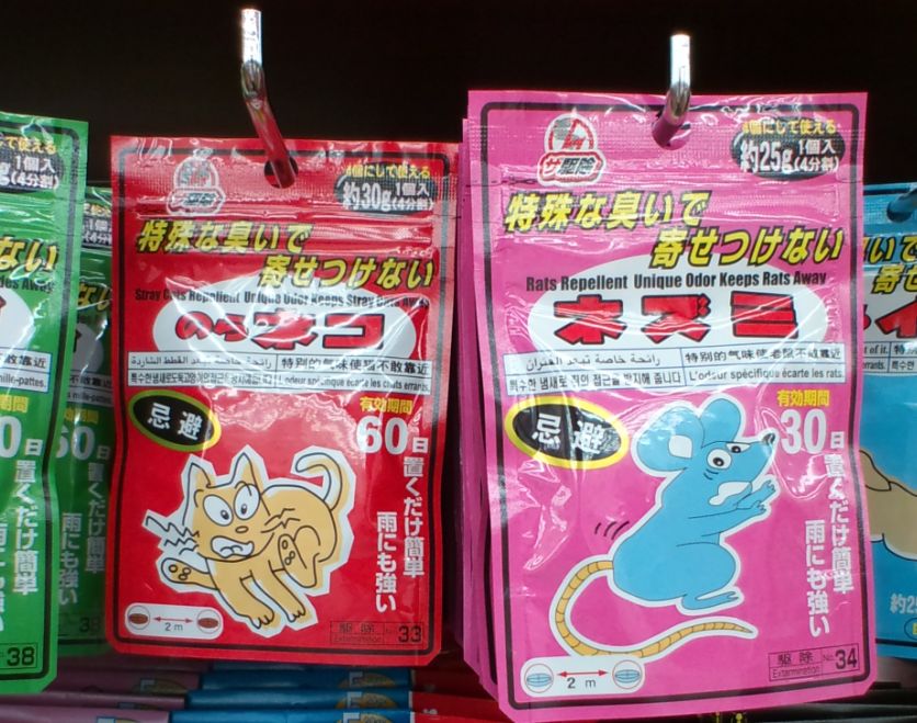フルサイズ画像