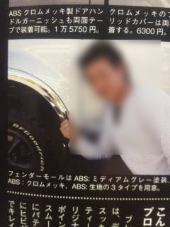 Re: マックスコーポレーション　フェンダーモール (画像サイズ: 480×640 61kB)