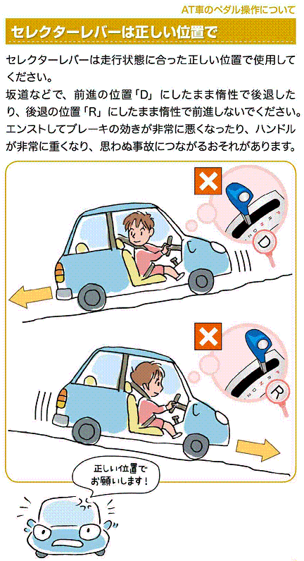 �t���T�C�Y�摜